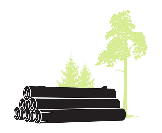 Illustration of logs